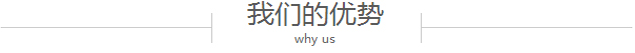 我們的優(yōu)勢(shì) 我們的優(yōu)勢(shì)